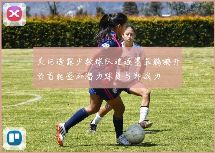 美记透露少数球队追逐墨菲鹈鹕开价首轮签加潜力球员与即战力