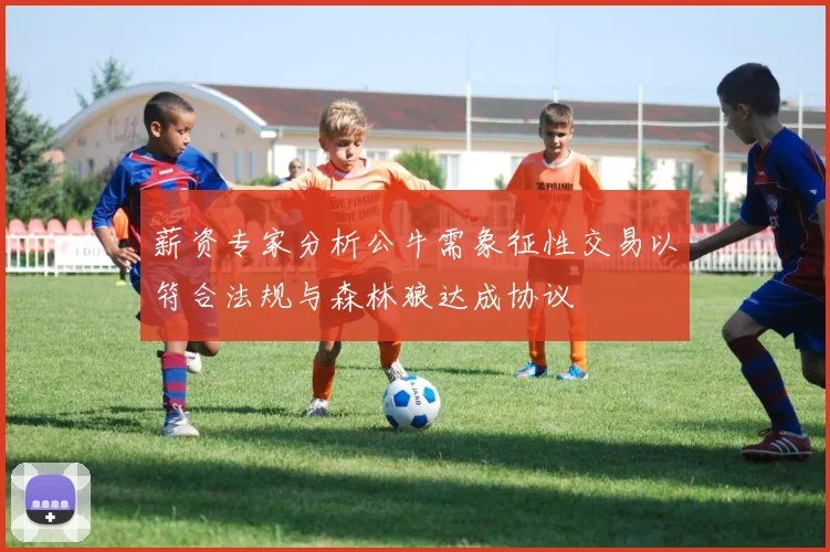 薪资专家分析公牛需象征性交易以符合法规与森林狼达成协议